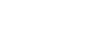 MaverikLogo copy.png