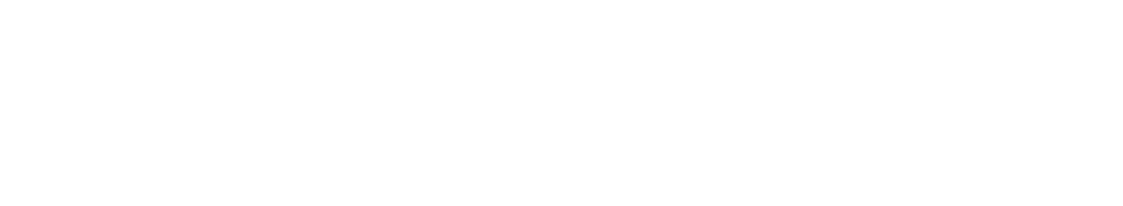 SUZUKI_Logo white.png