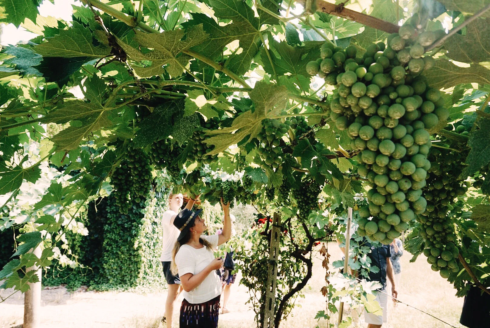 Villa Monteleone, Italy - 2016