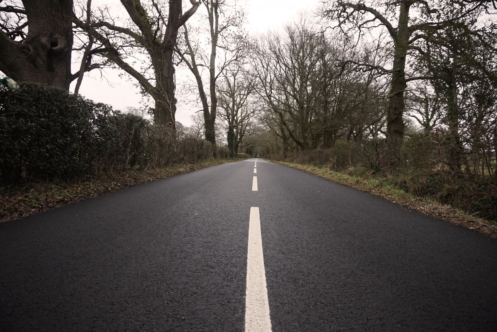 New Forest, London - 2016