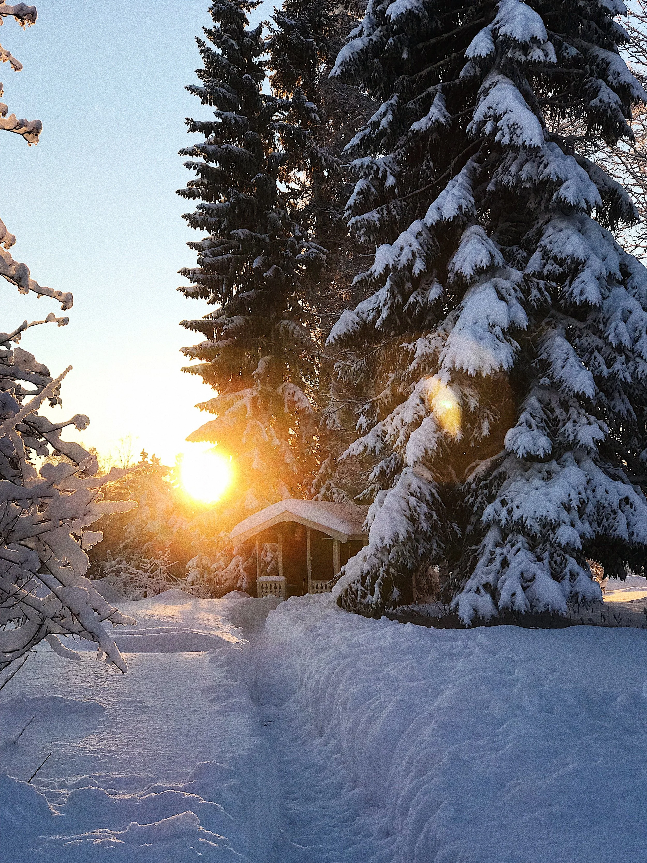 Cabin, Sweden - 2017