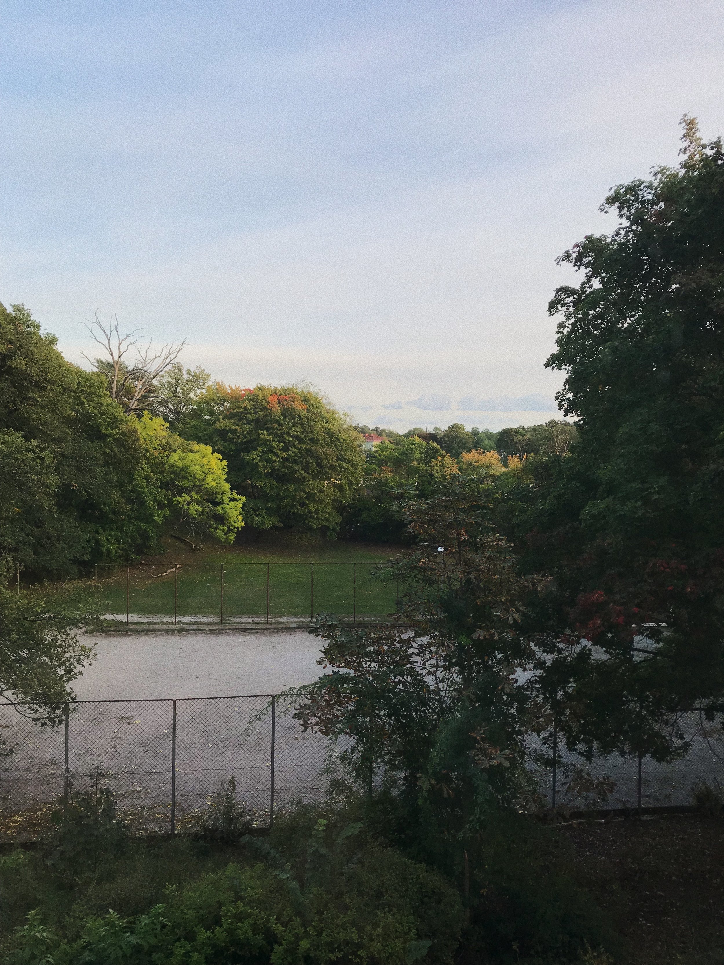 Autumn views from Ebbas apartment.