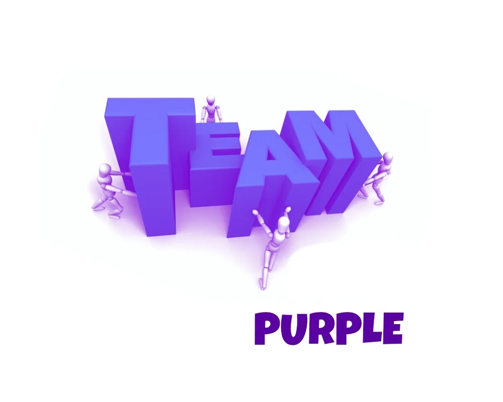 YASH Team Purple Logo.jpg