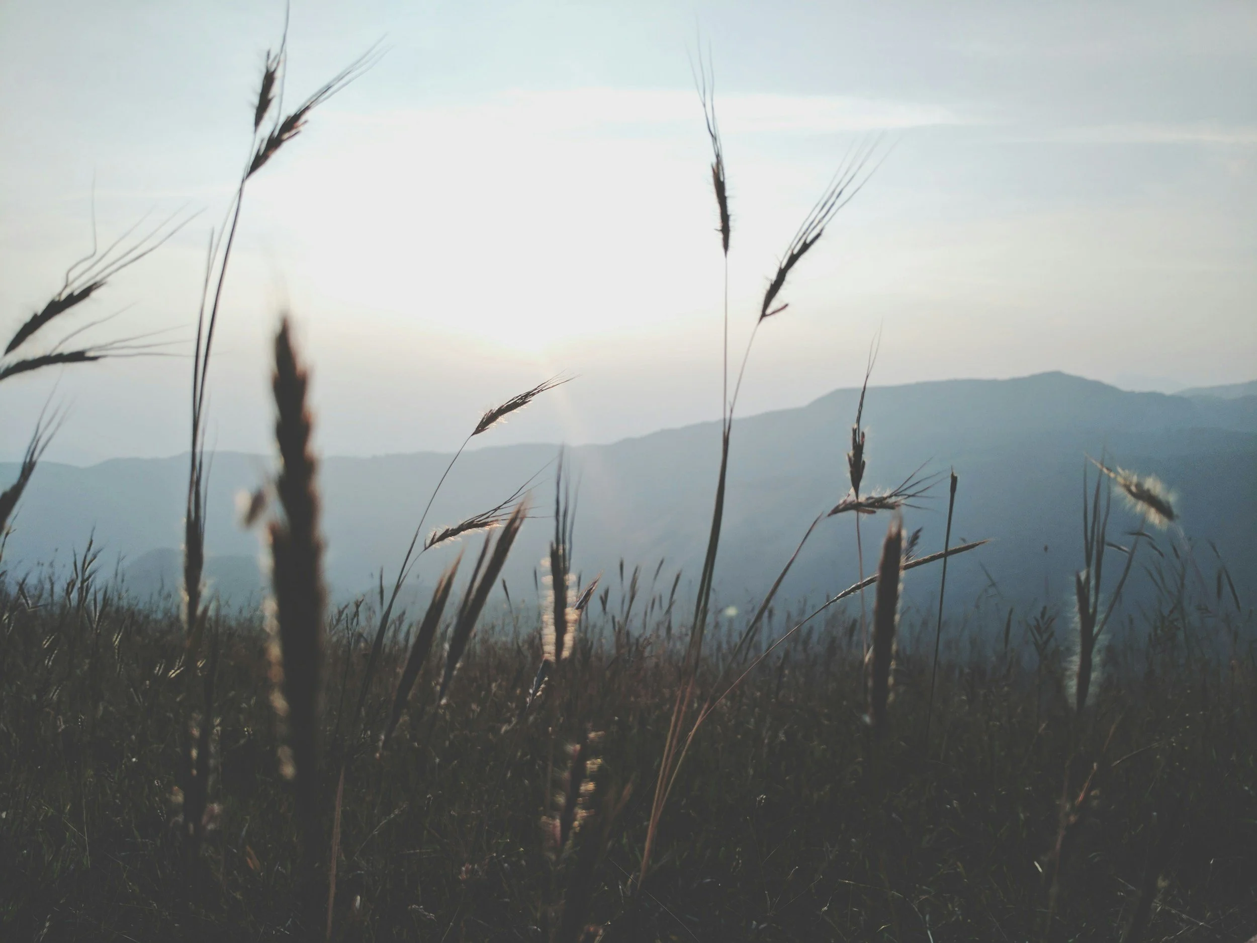 Polyamory and the "Jealousy Myth": Using Gottman Tools in ENM