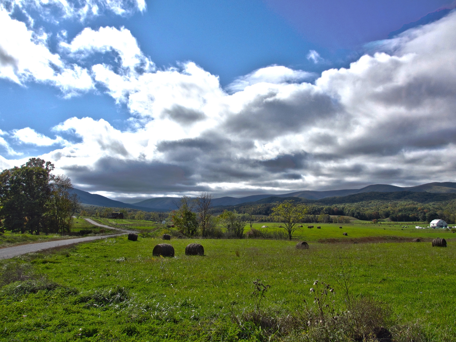 John's Creek