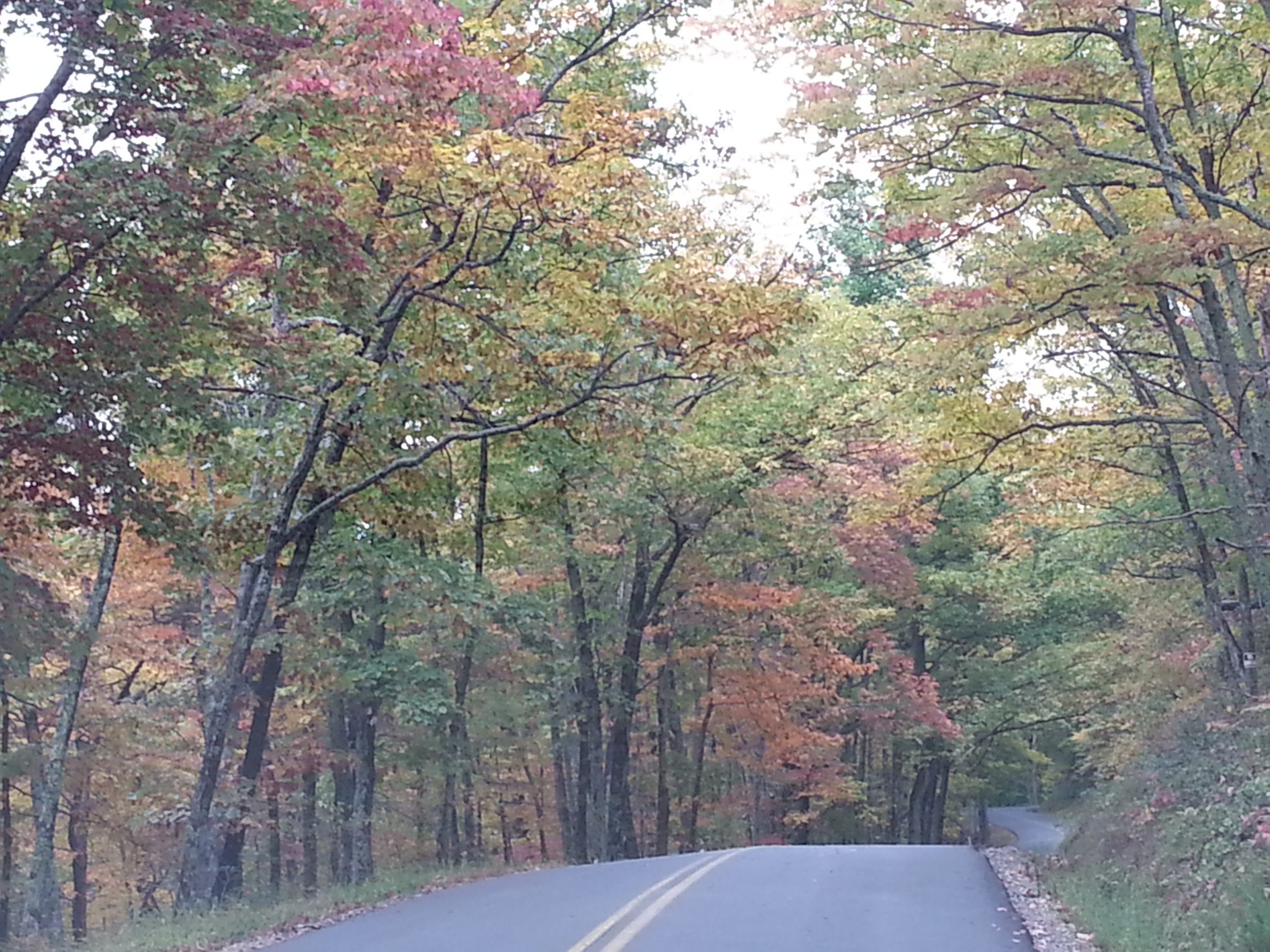 20141011_160237.jpg
