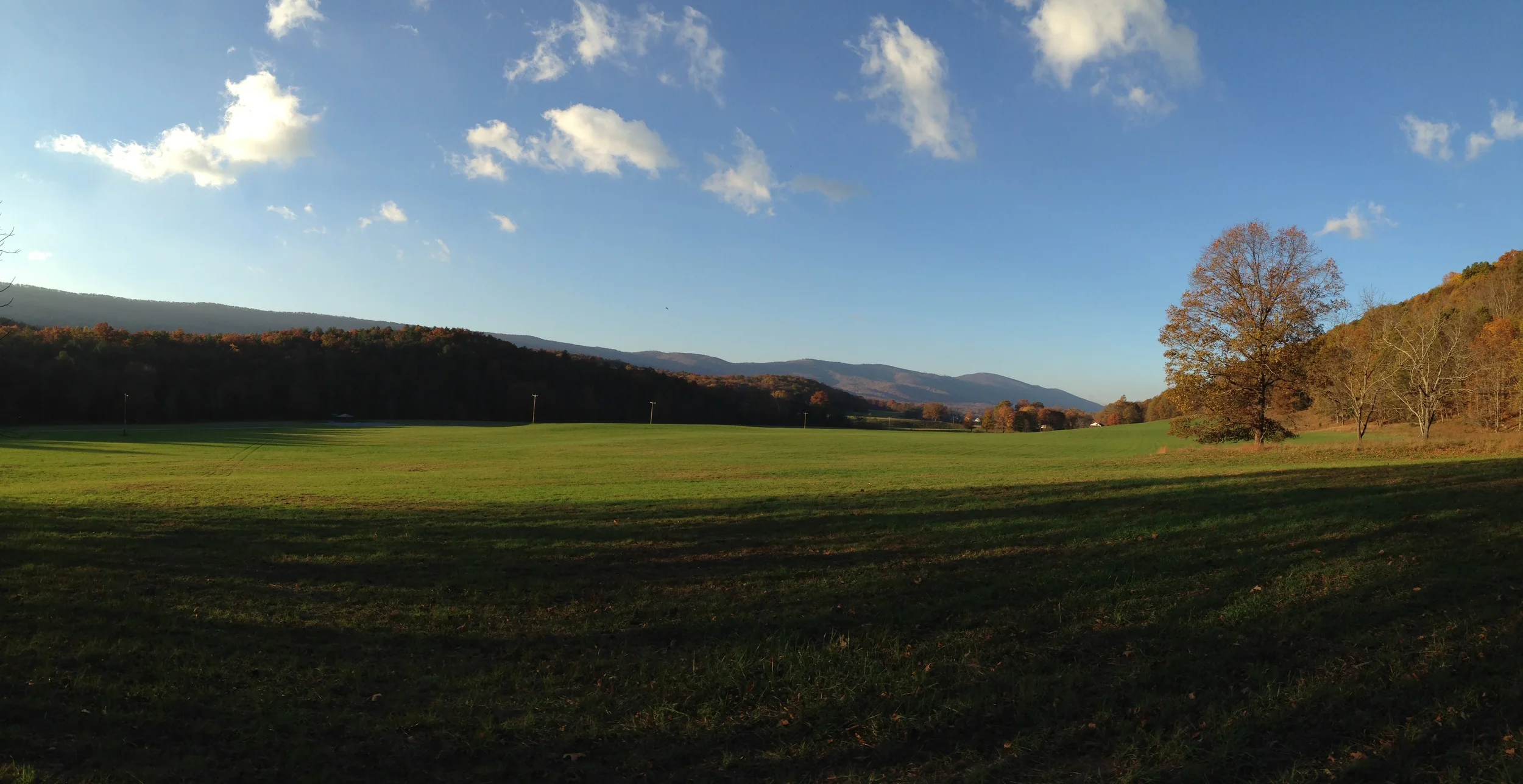  Contributed by David Klorig 