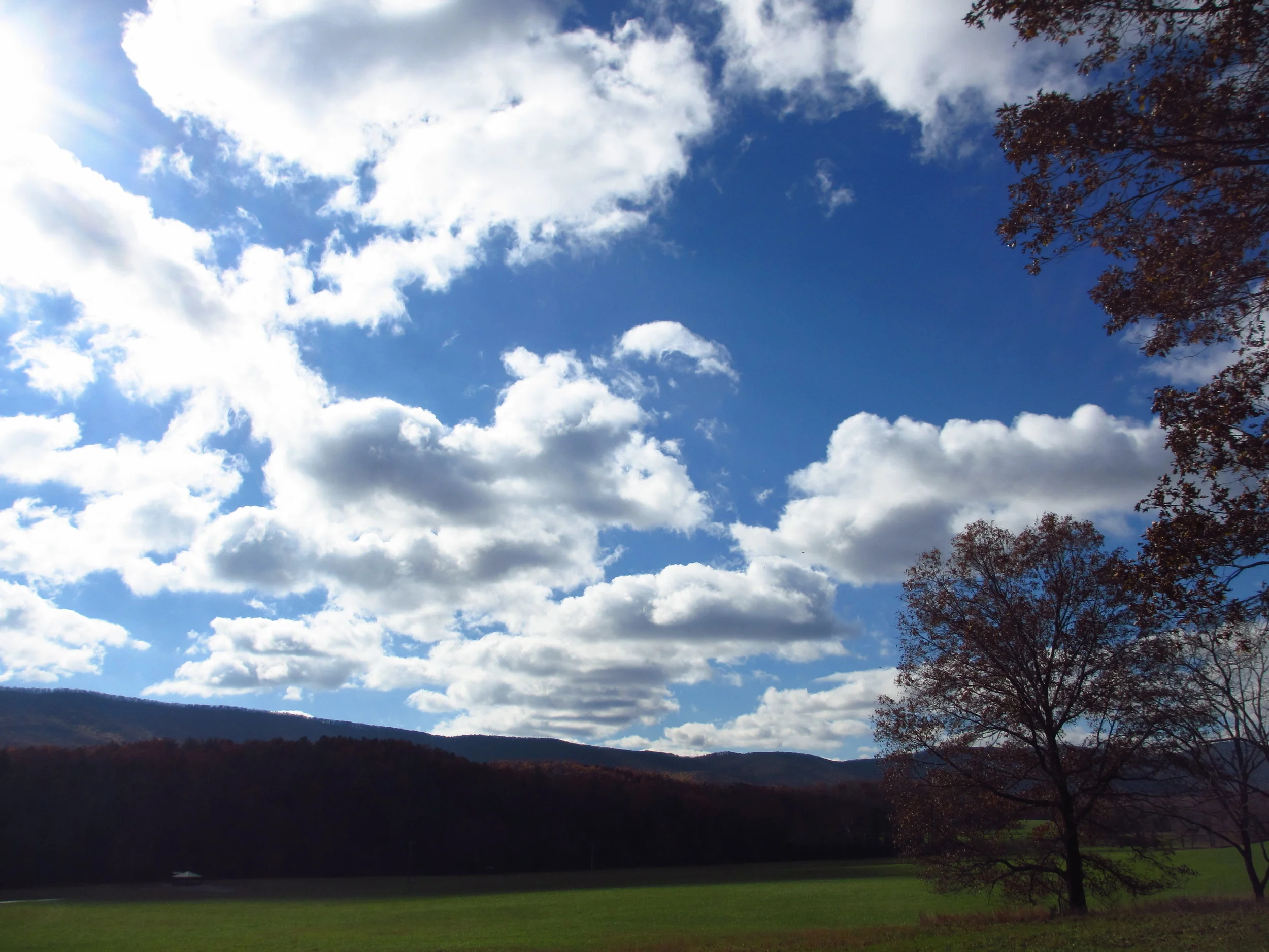  Contributed by David Klorig 