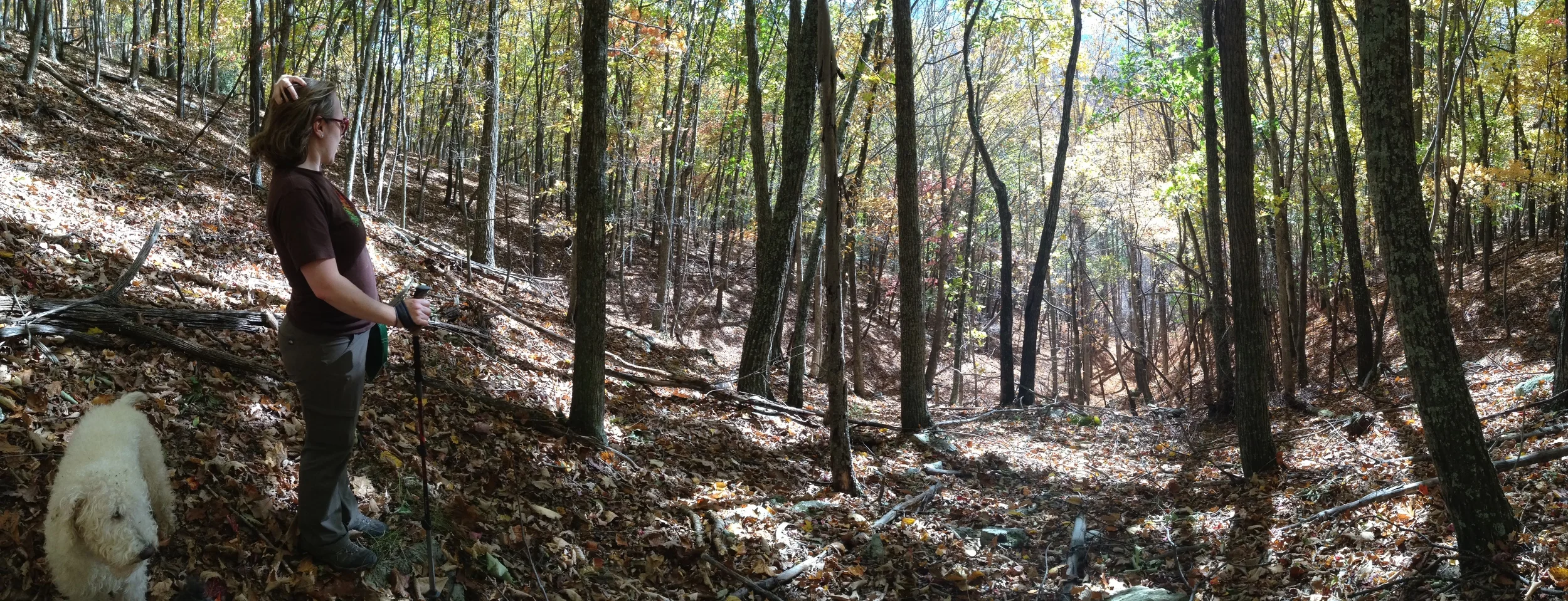  Contributed by David Klorig 