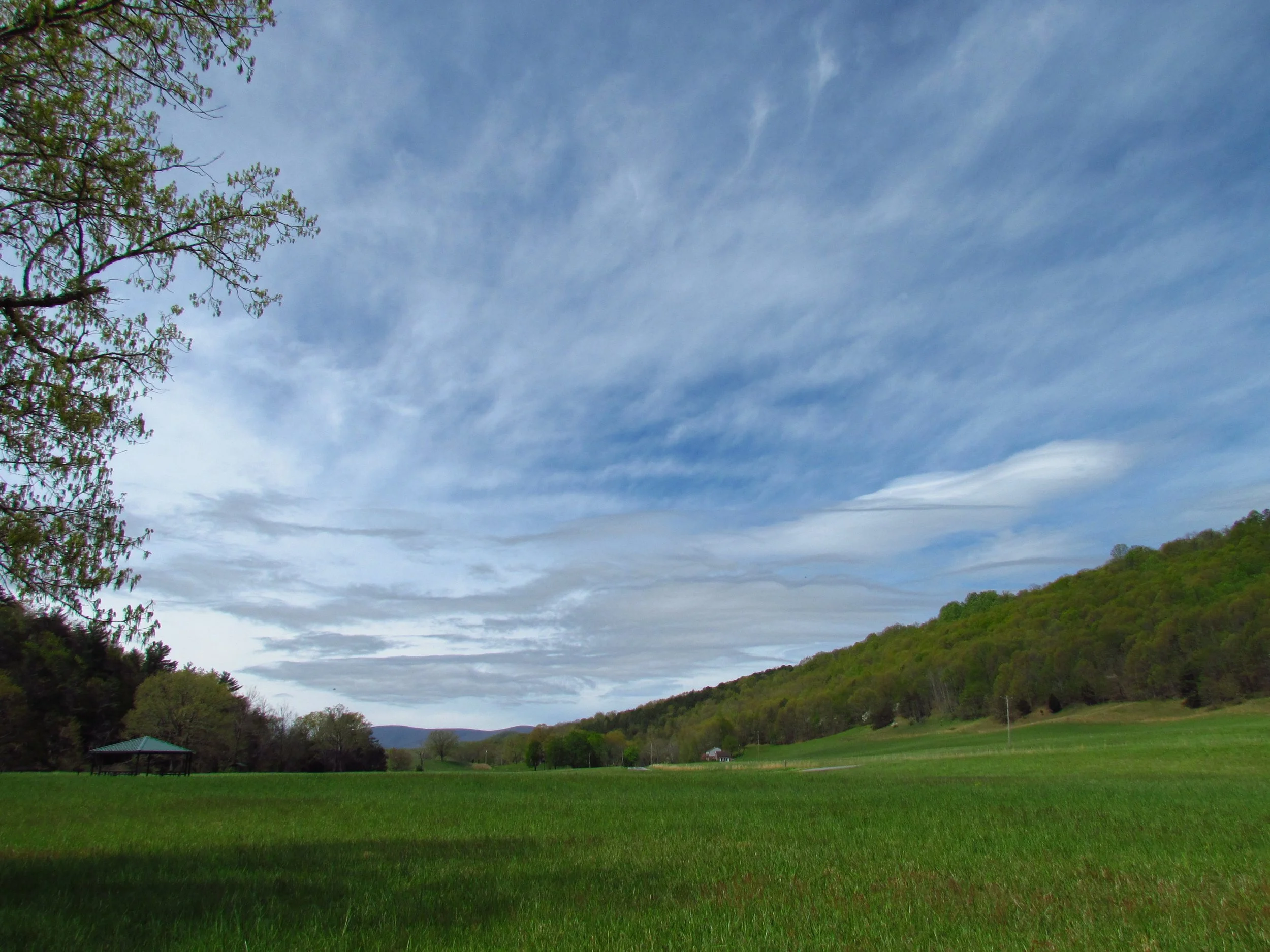  Contributed by David Klorig 