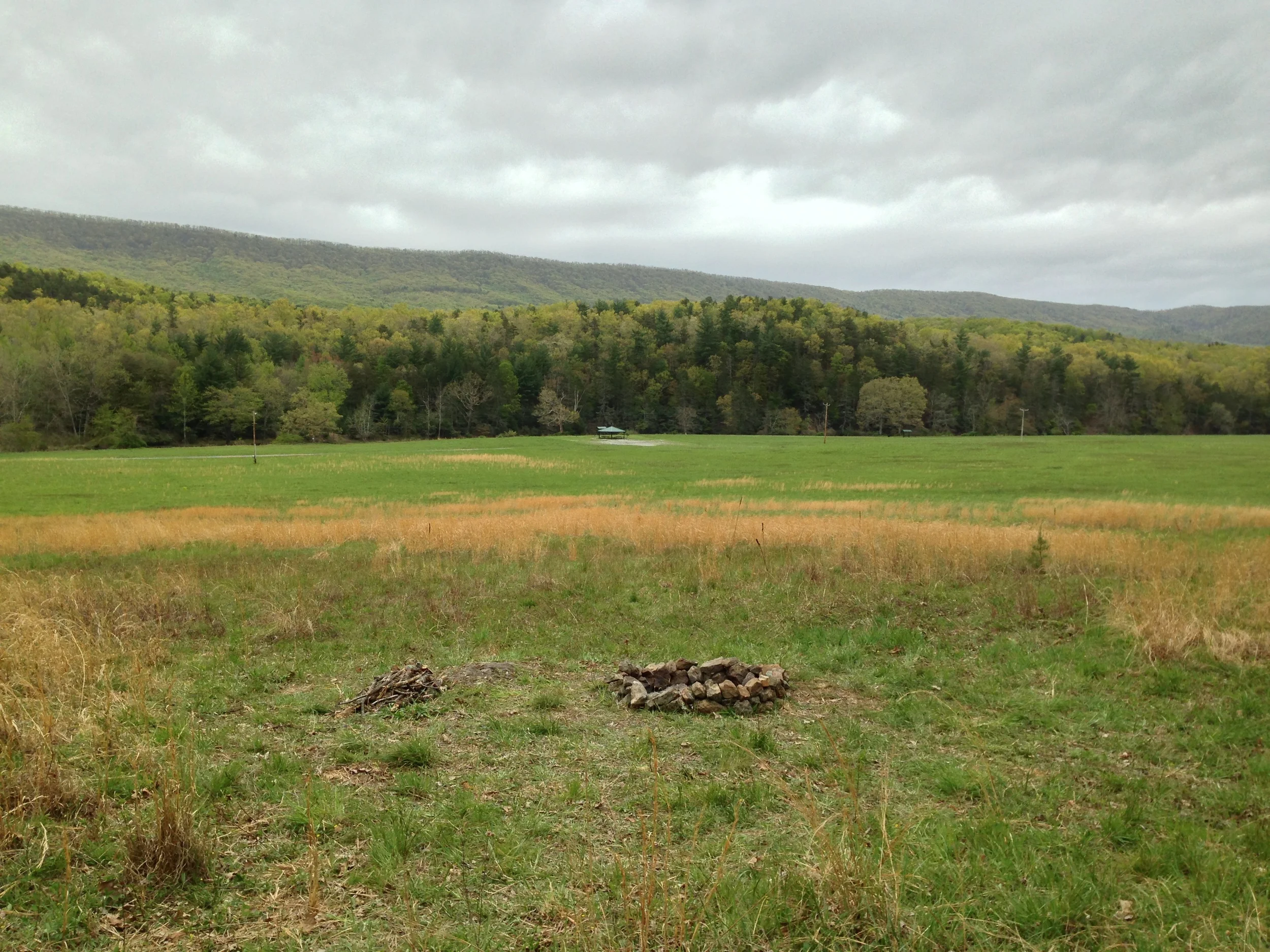  Contributed by David Klorig 