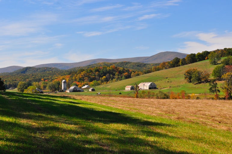 Looking West from Lot 55