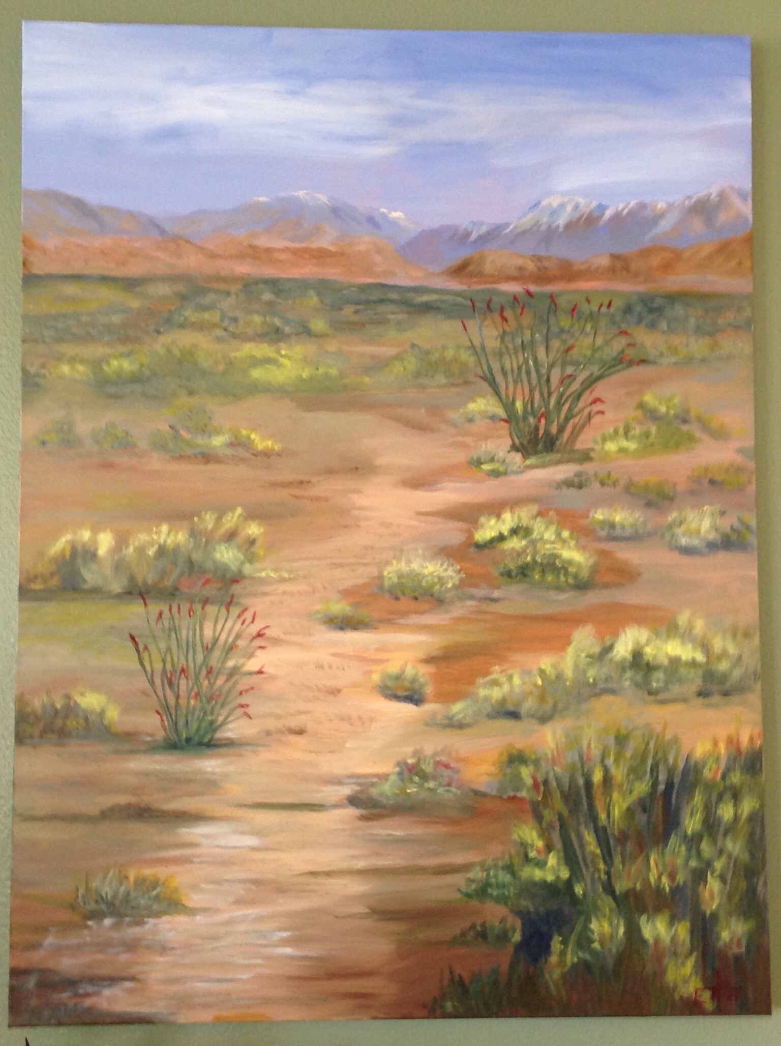 Desert View II