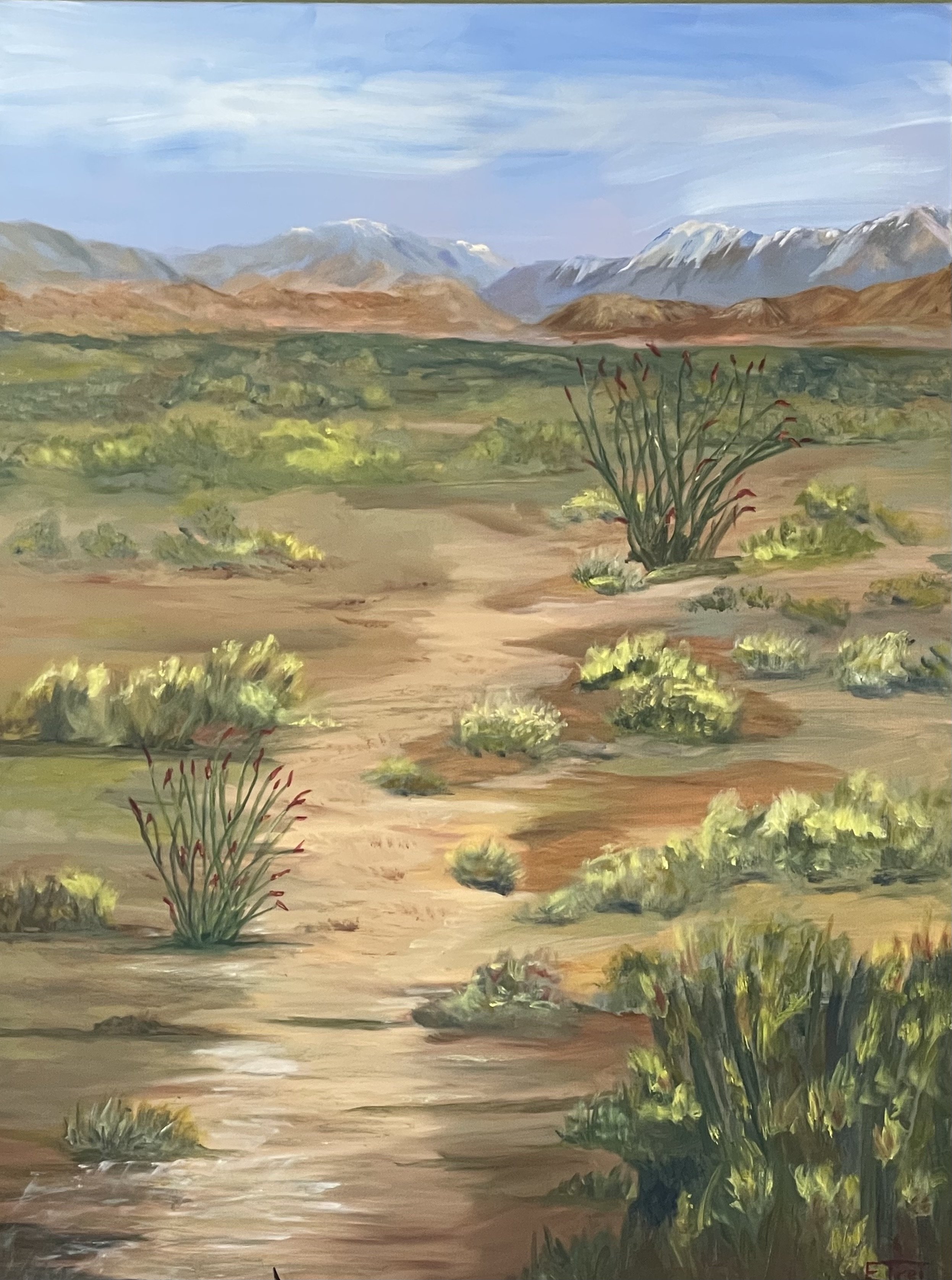 Borrego Desert Spring Snow oil