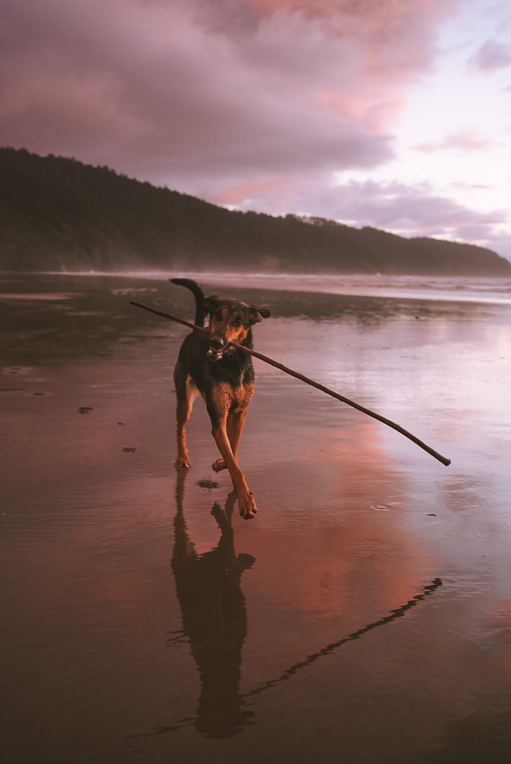 Ayla proud of her stick