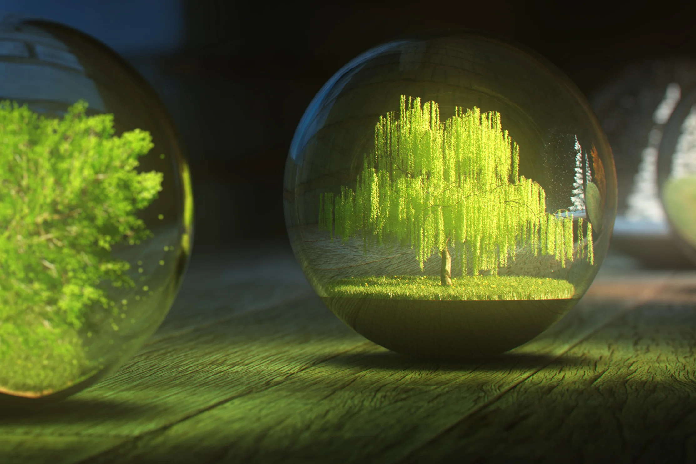 treeGlobes001_crop.jpg