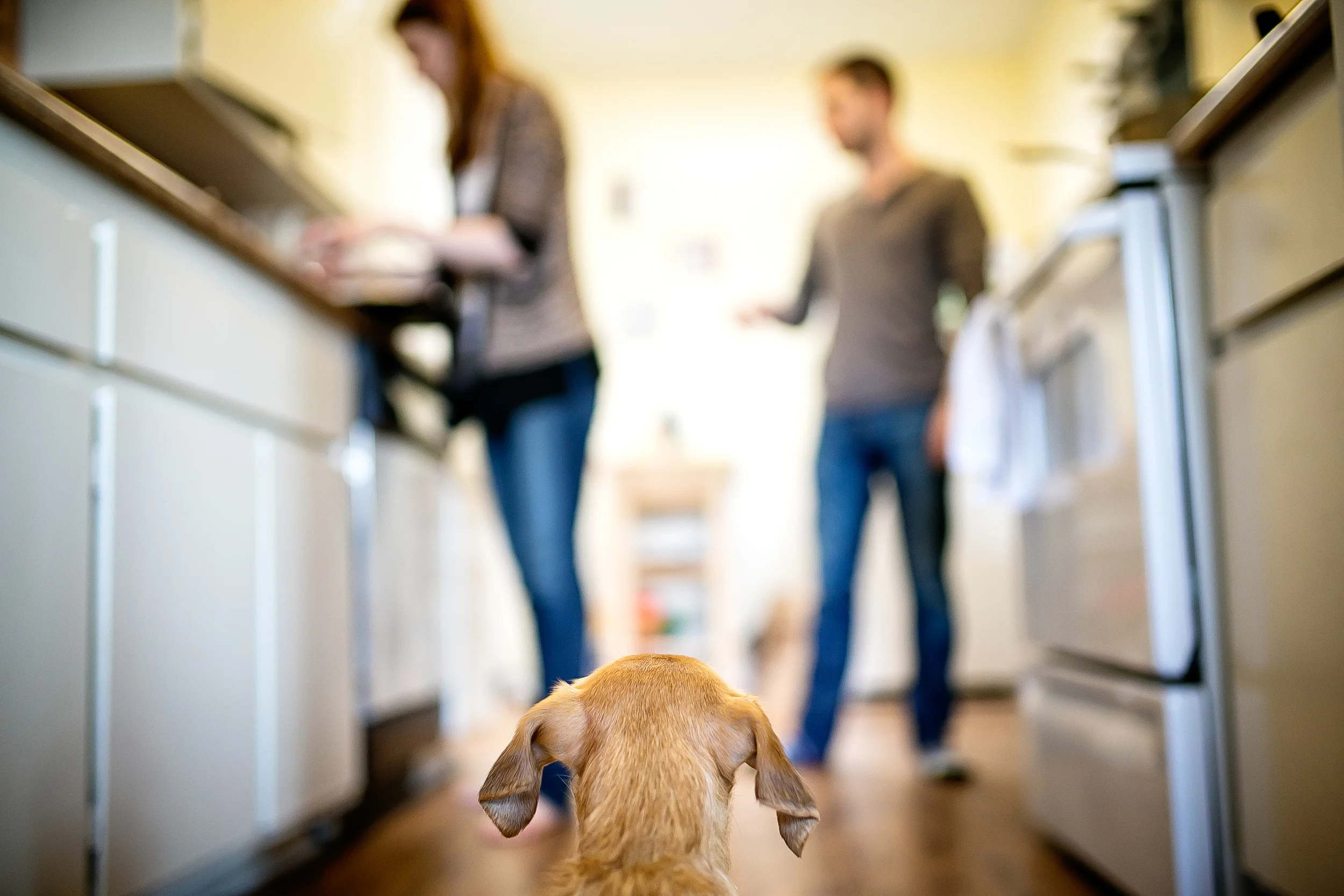 Kelly + Greg. One afternoon.
