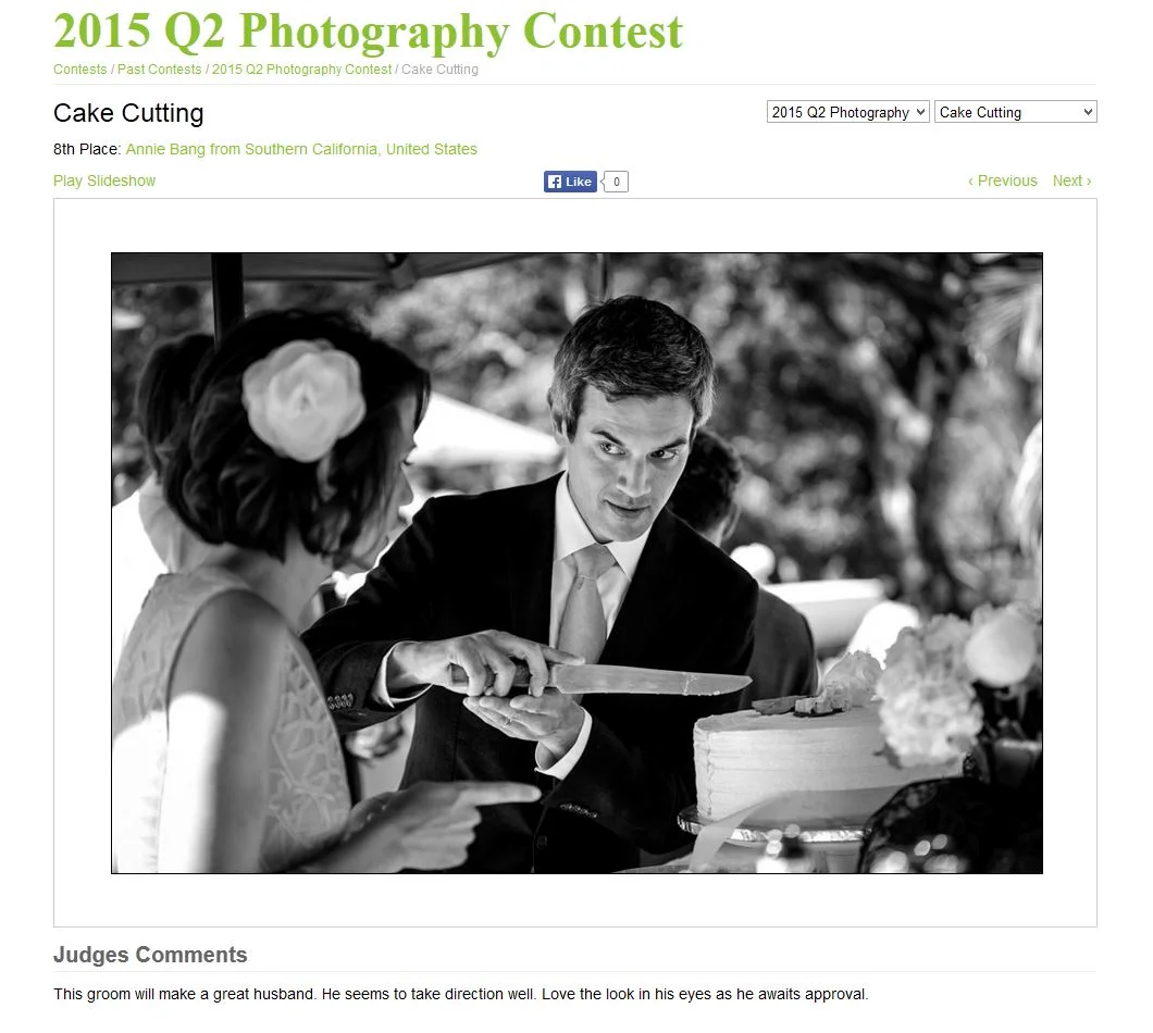 International Photo Contest Award by Wedding Photojournalist Association