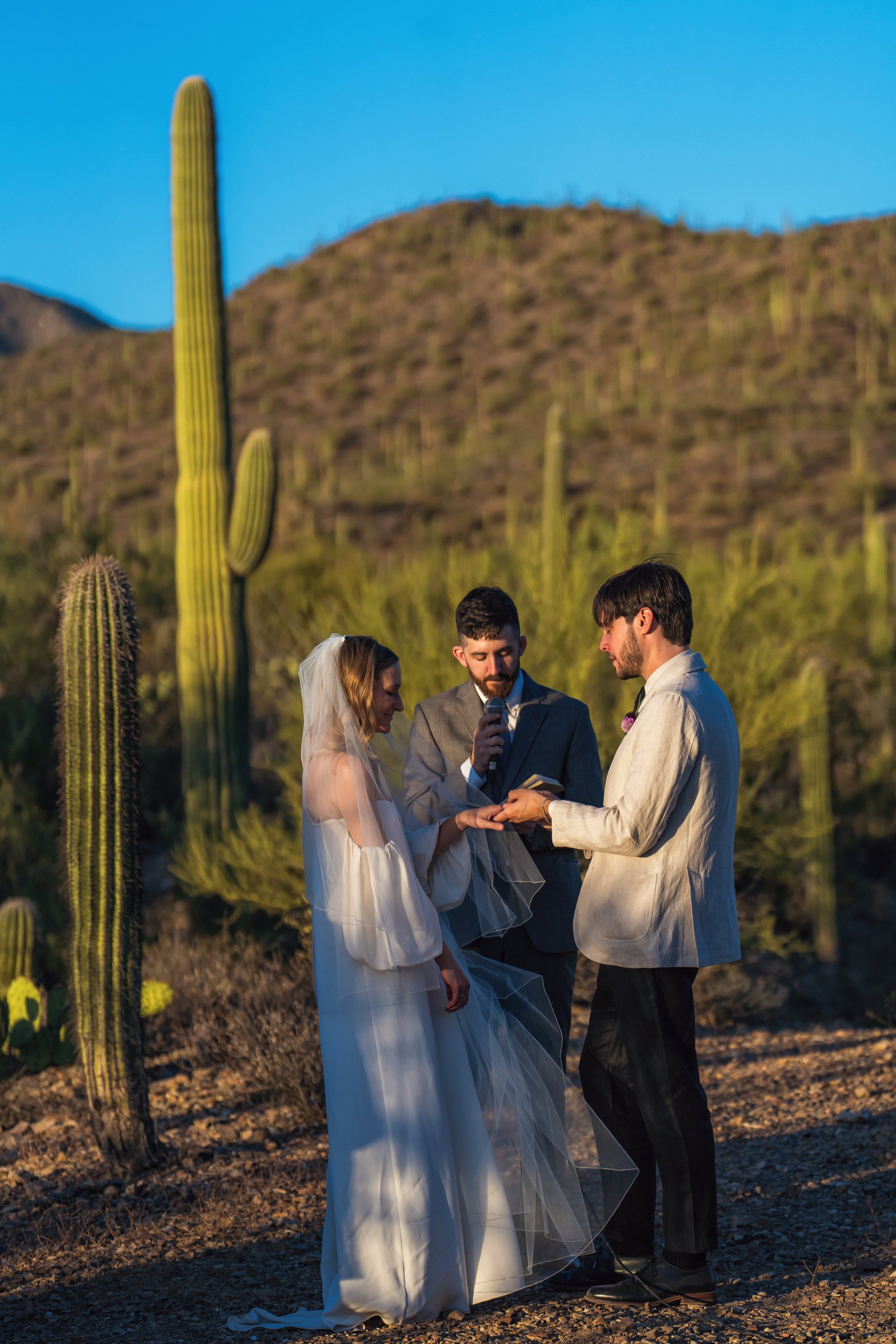 Tucson Mountain Park Arizona Wedding, Saguaro cactus 