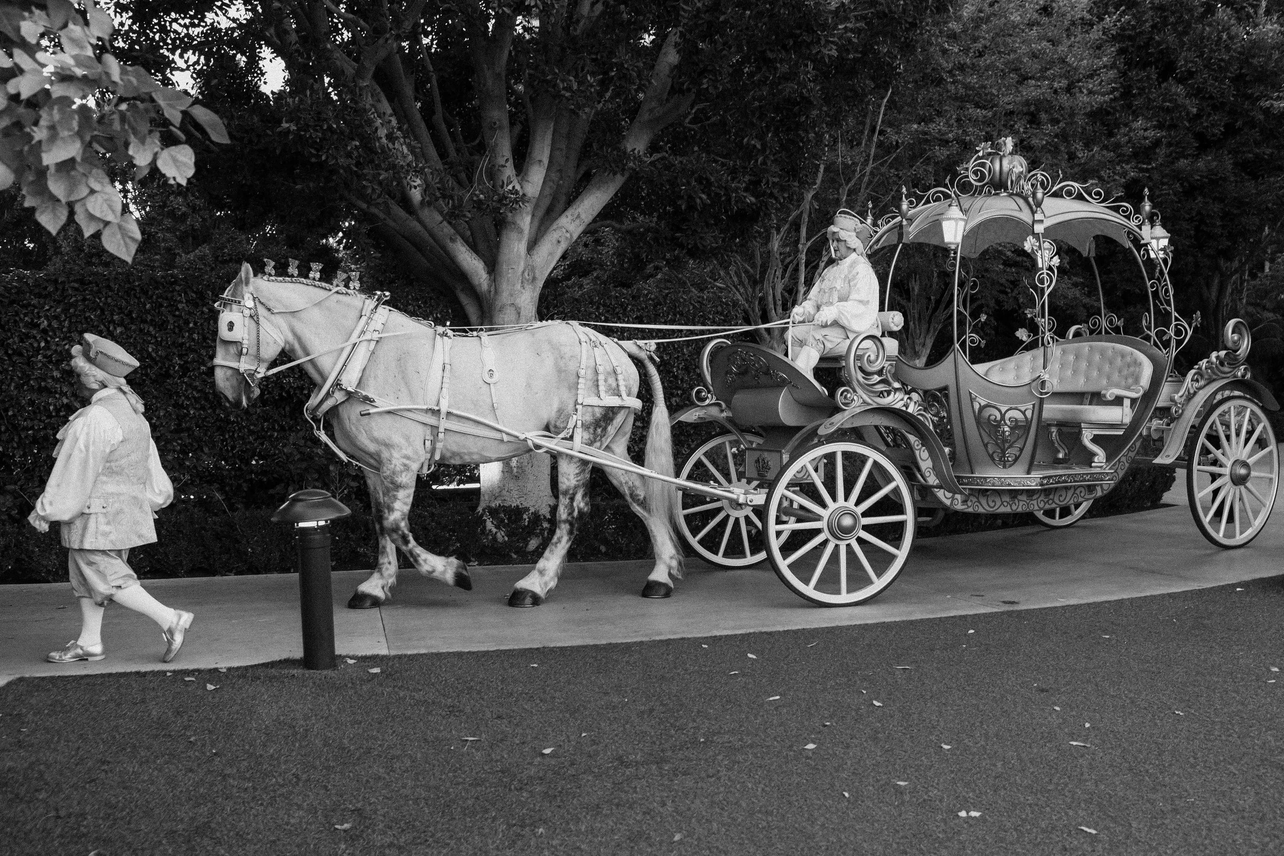 Disneyland Hotel Wedding