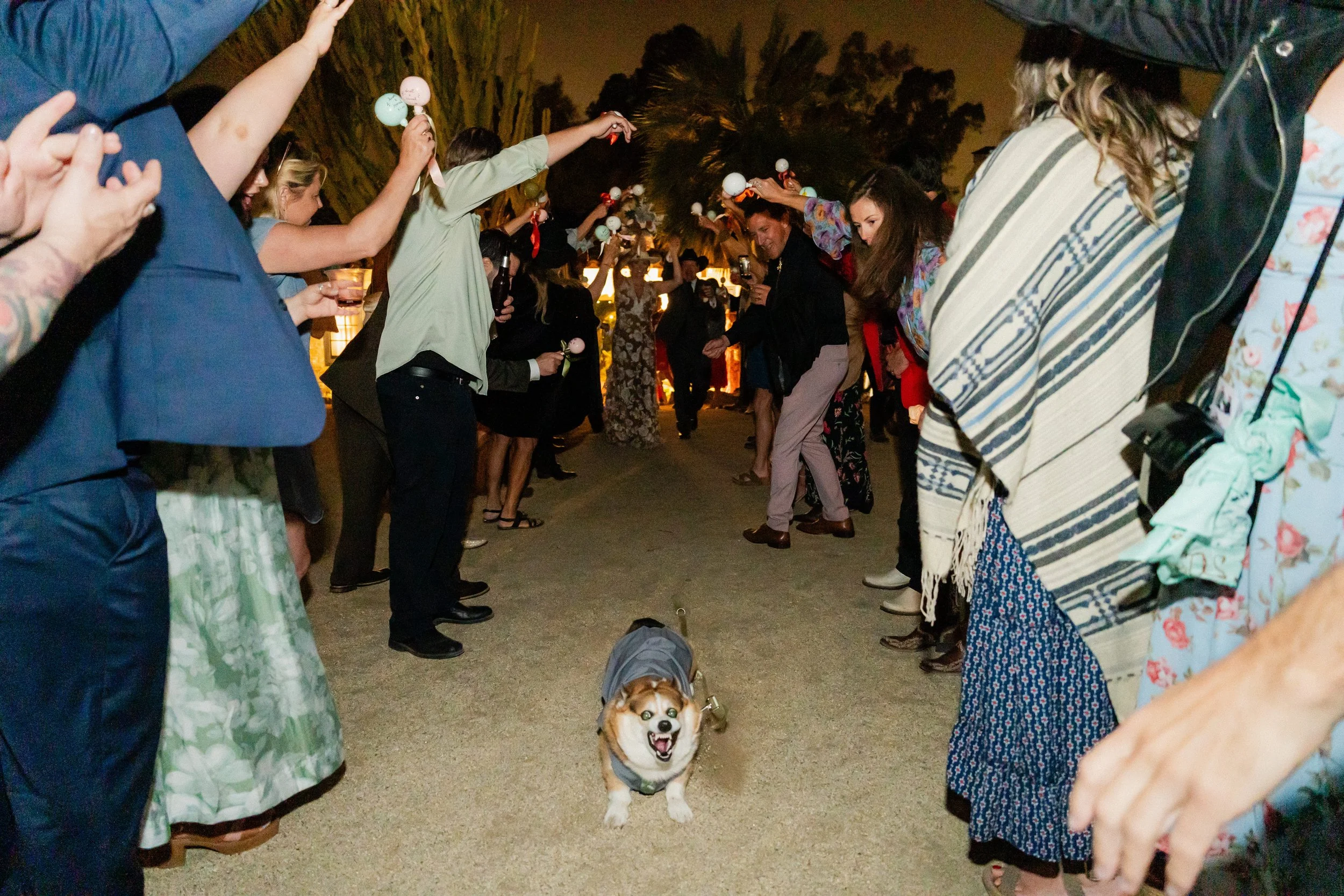 Leo Carrillo Ranch Wedding in Carlsbad
