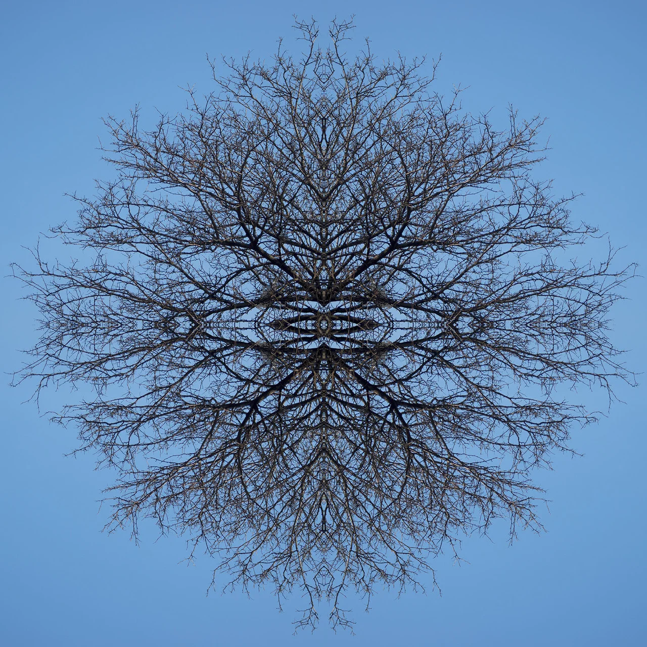 Living, 2013 C Print 30 x 30 in.