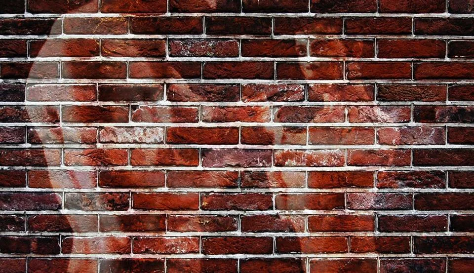 Terra Cotta , 2015 Video Mapping 96 x 58 in. 