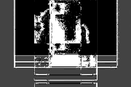 The Presence of Absence , 2009 Video Projection 8 x 7 ft. 