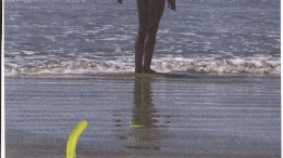 Collage Animation Tiny Looped.gif