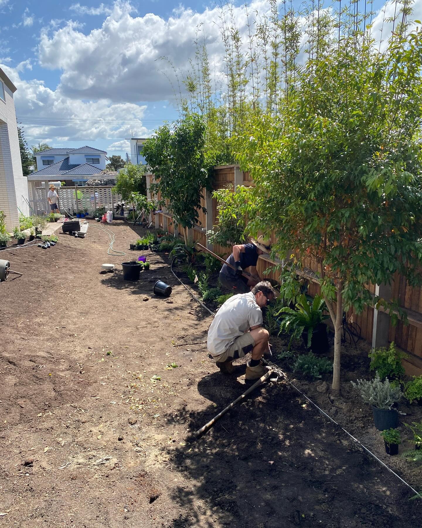 Down to Newcastle for the day to set out some plants for this @owen.architecture house that has been a long time coming.

@steve_hunt_architect 
@builtbyeli 
@brickslayer 
@lushgrowturfandhorticulture