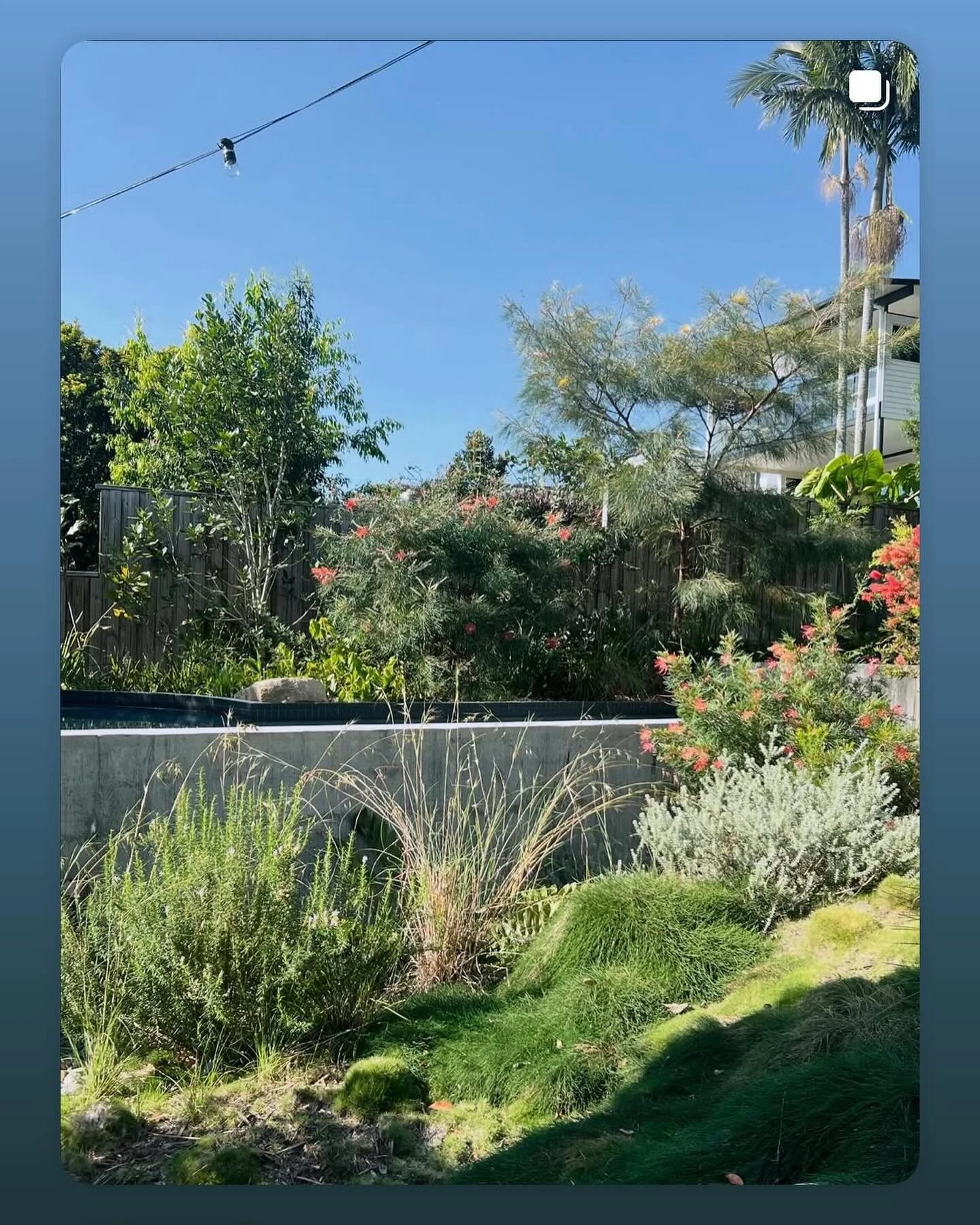 A little suburban garden for @kierongait