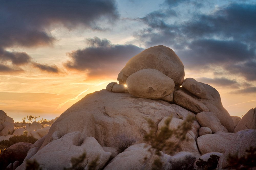 Joshua Tree NP_121623-4171-Edit.jpg