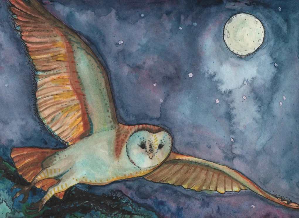 barnowl paints.jpg