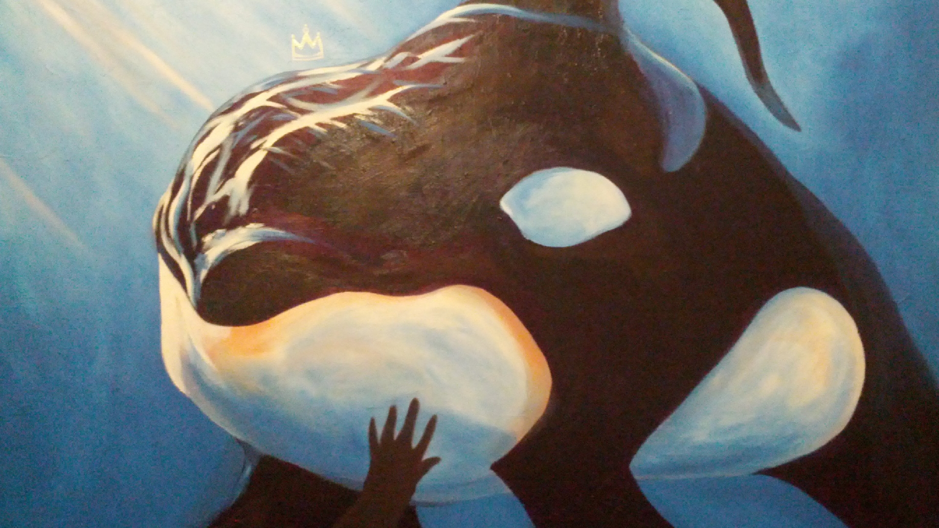 killer whale - king.jpg