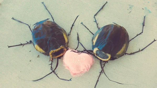 roaches.jpg
