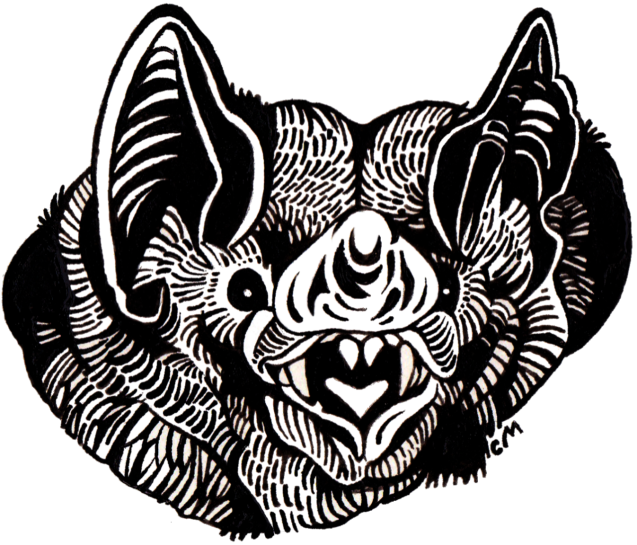 batface.png