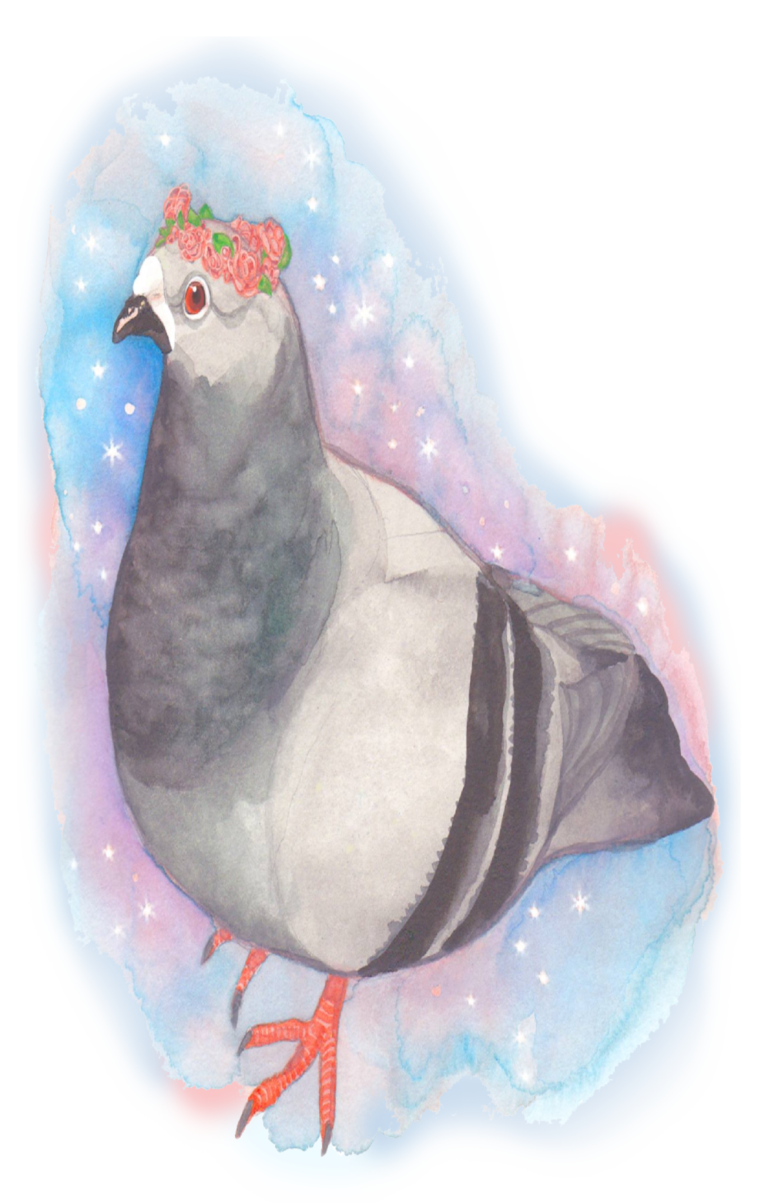 pigeon.png