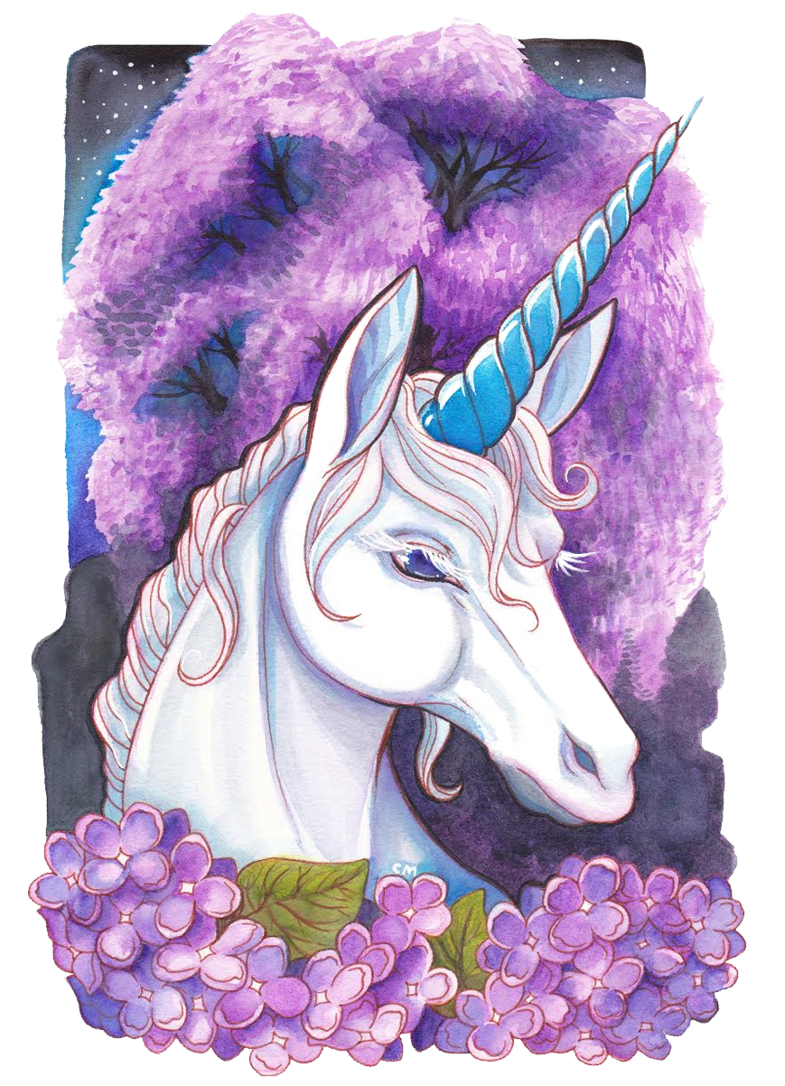 unicorn-shirt.png