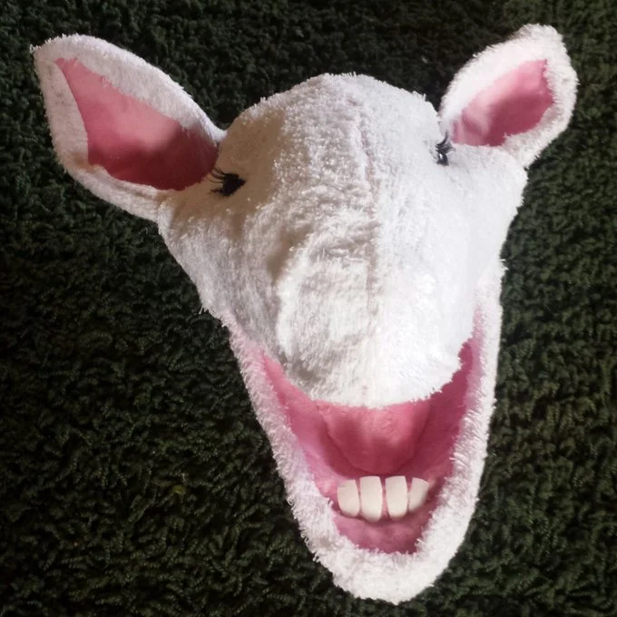 sheephead1.jpeg