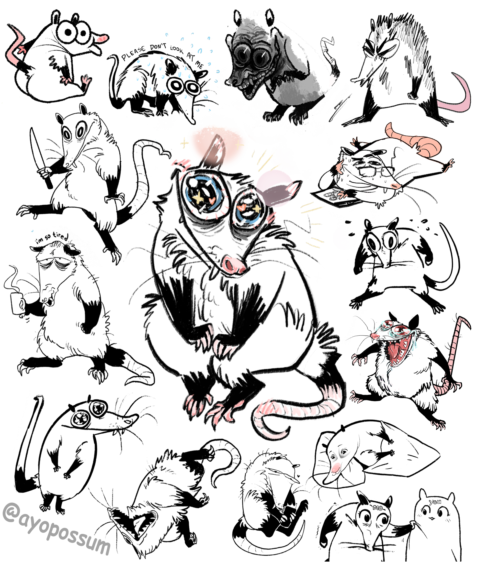 ayopossum thing.png