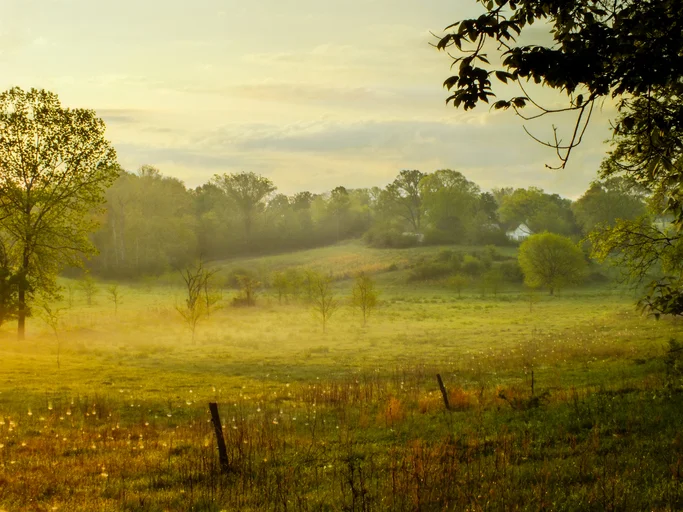 Farm Field 520241323.jpg