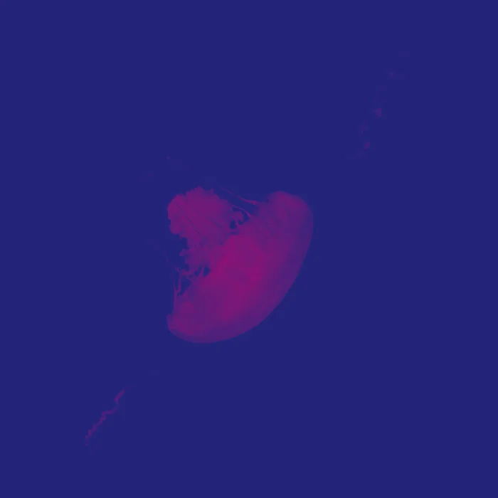 Steven Senger- Jellyfish (HITT 005) LP https://stevensenger.bandcamp.com/album/jellyfish