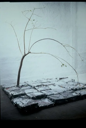 El Patio de Enfrente.jpg