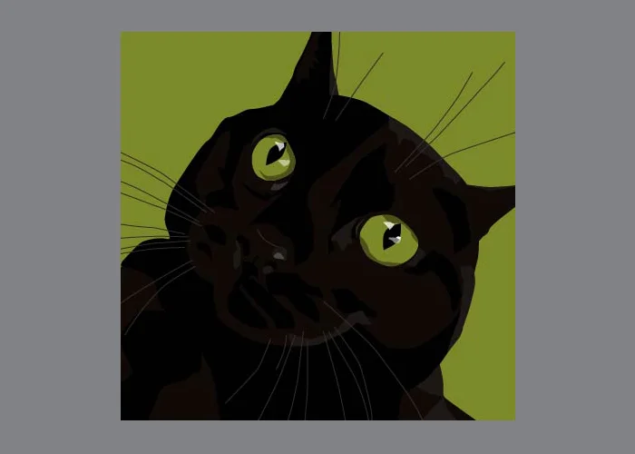 Pet portrait (personal project)