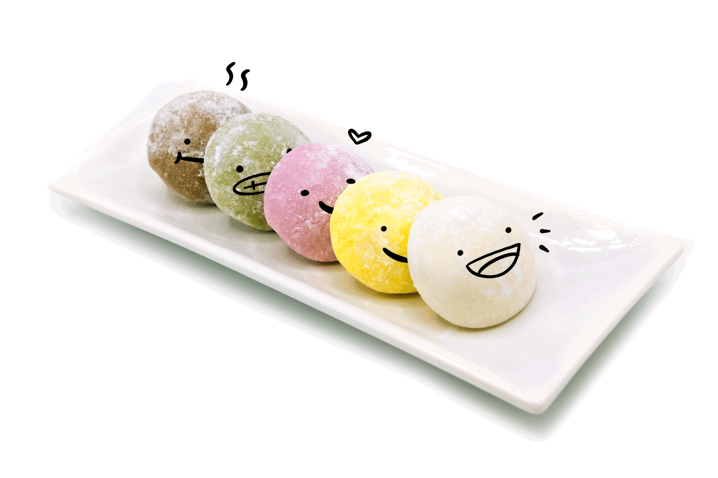 Hi, My Name is Mochi.