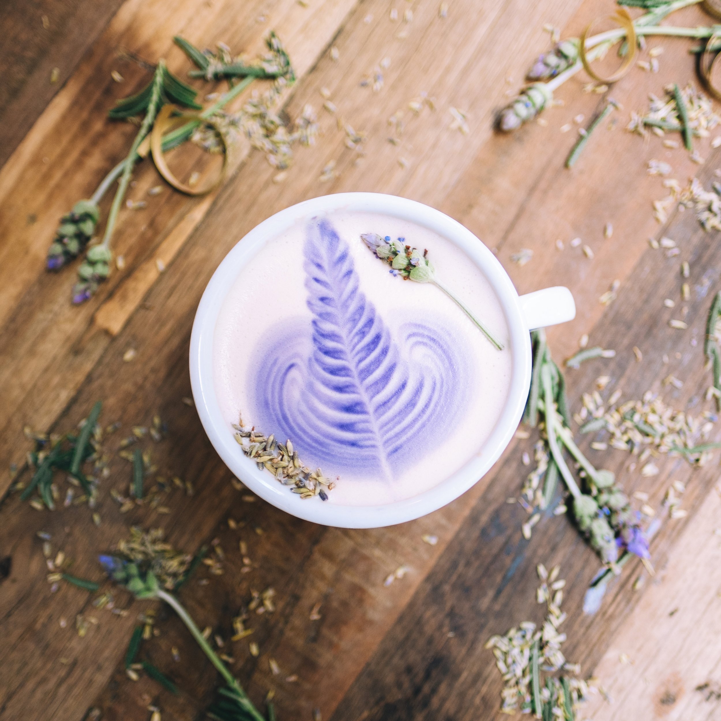 Lavender Milk Tea - Hot Overhead More Blue-1.jpg