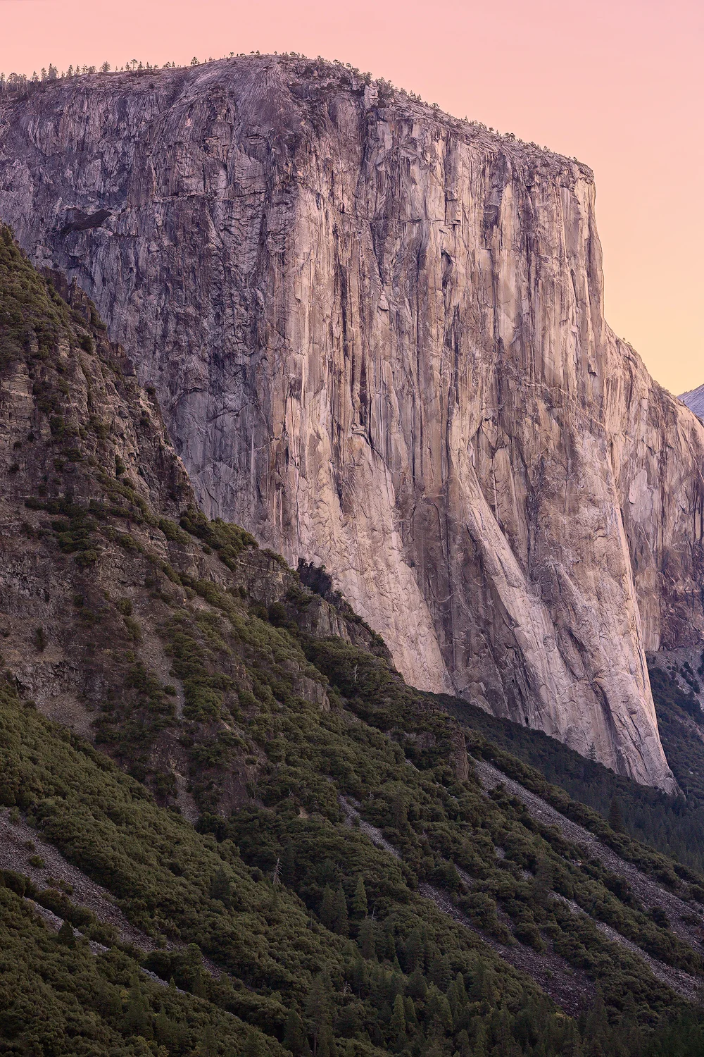 First Light | Yosemite National Park, CA