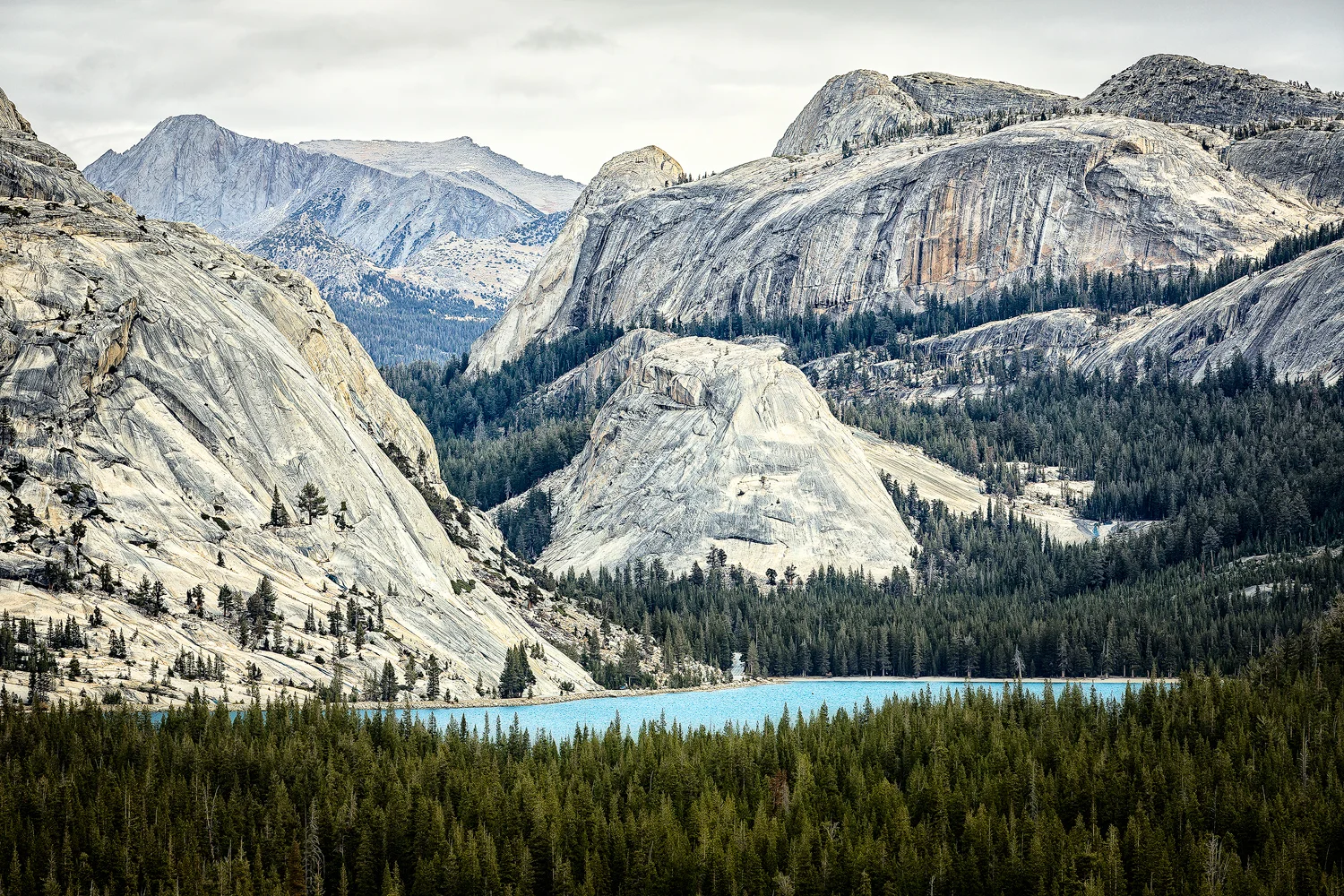 Tenaya Lake | Yosemite National Park