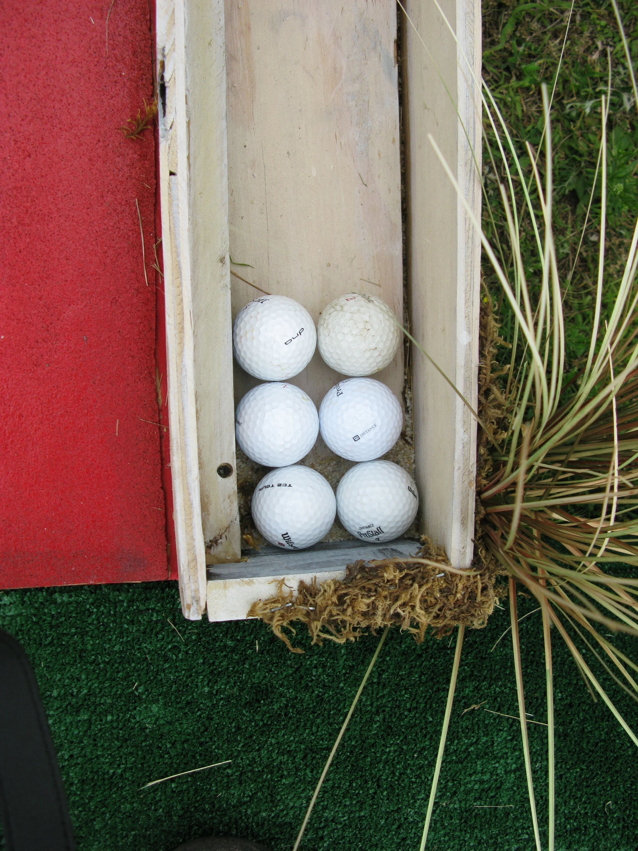 2012-10_to_2008-10_GovernorsIsleFigmentSkeeball - 48 of 60.jpg