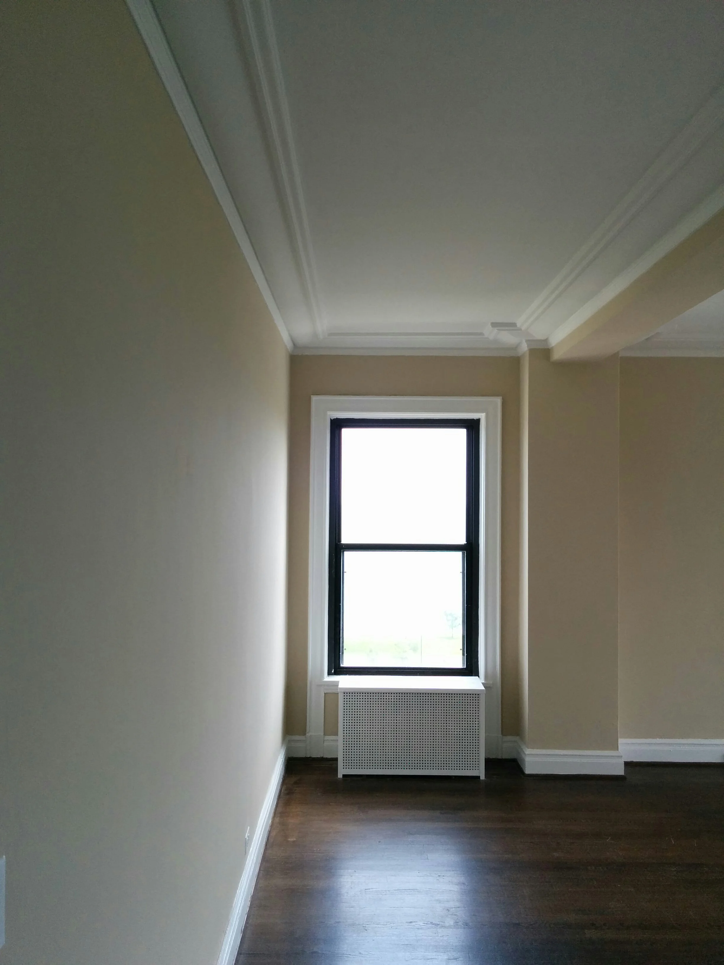 Dining Room Before